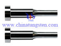 Tungsten Carbide Punch picture